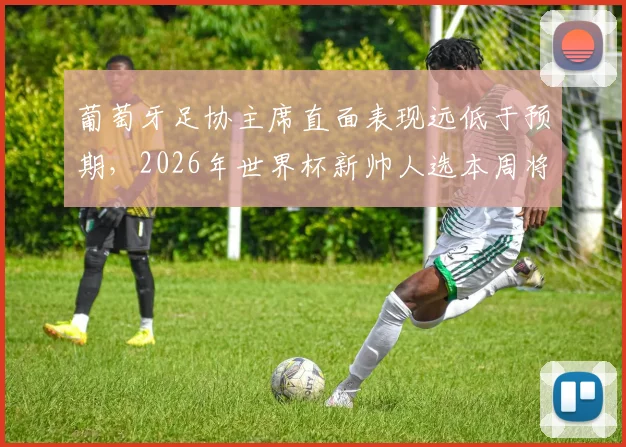 葡萄牙足协主席直面表现远低于预期，2026年世界杯新帅人选本周将揭晓